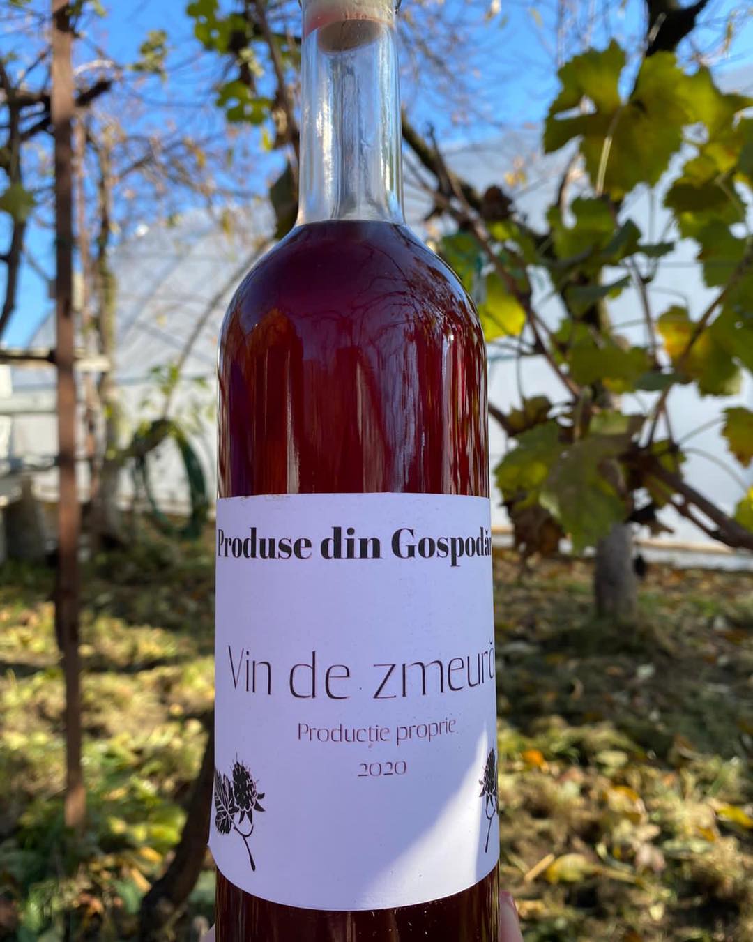 May be an image of text that says 'Produse din Gospodi Vin de zmeuri Productie proprie 2020'